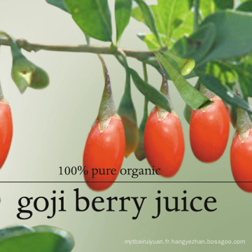 Vente chaude fruit de goji chinois